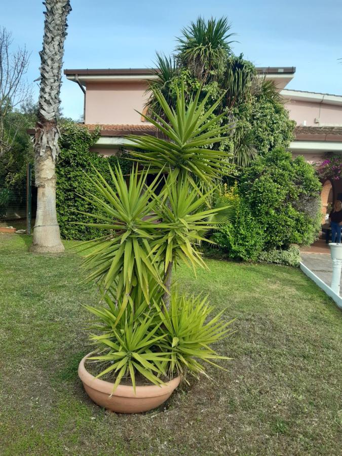 B&B Villa Giovanni Casal Palocco Exterior photo